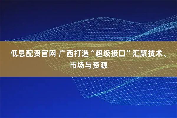 低息配资官网 广西打造“超级接口”汇聚技术、市场与资源